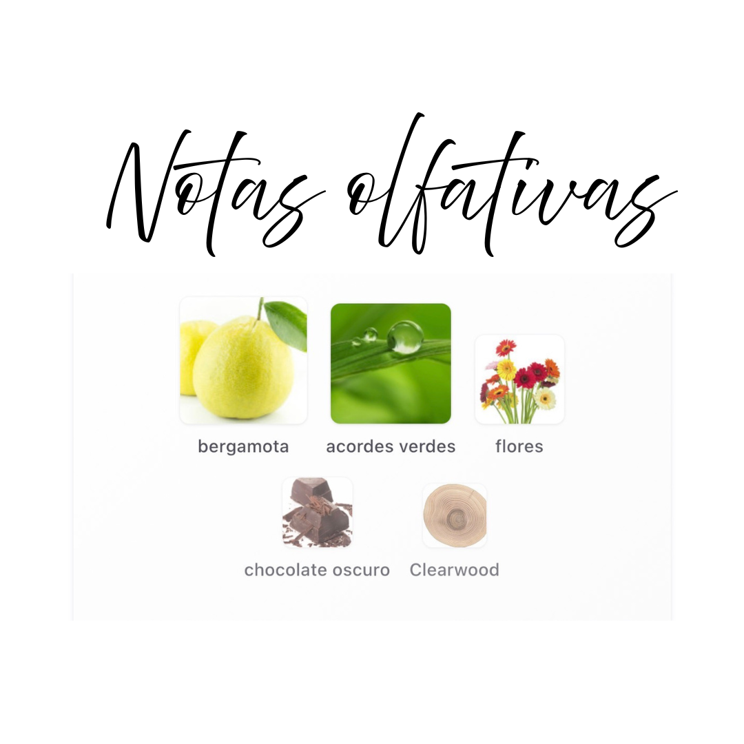Notas olfativas Tubbees Matcha Made in Heaven – bergamota, acordes verdes y flores; corazón chocolate oscuro; fondo Clearwood. Vibra Matcha Meditation, bruma fresca y serena
