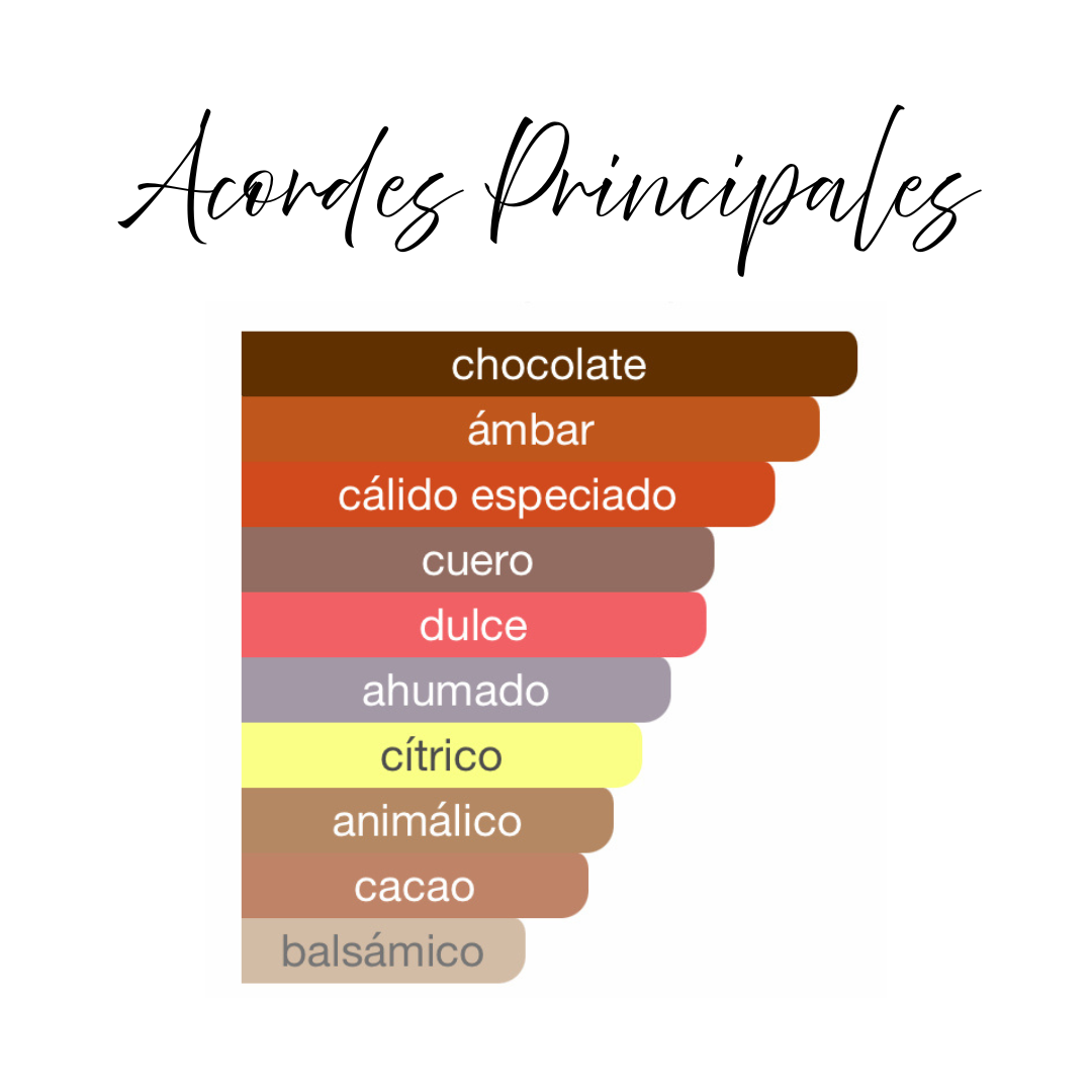 Chocola Addict French Avenue EDP 100ml Unisex Gourmand