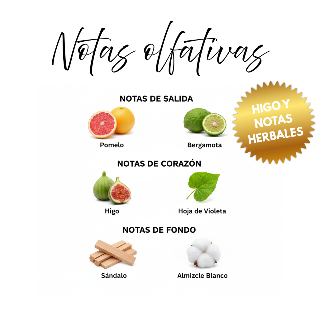 Notas olfativas de Jungle Vibe: bergamota, pomelo, higo, hojas de violeta, sándalo y almizcle blanco.
