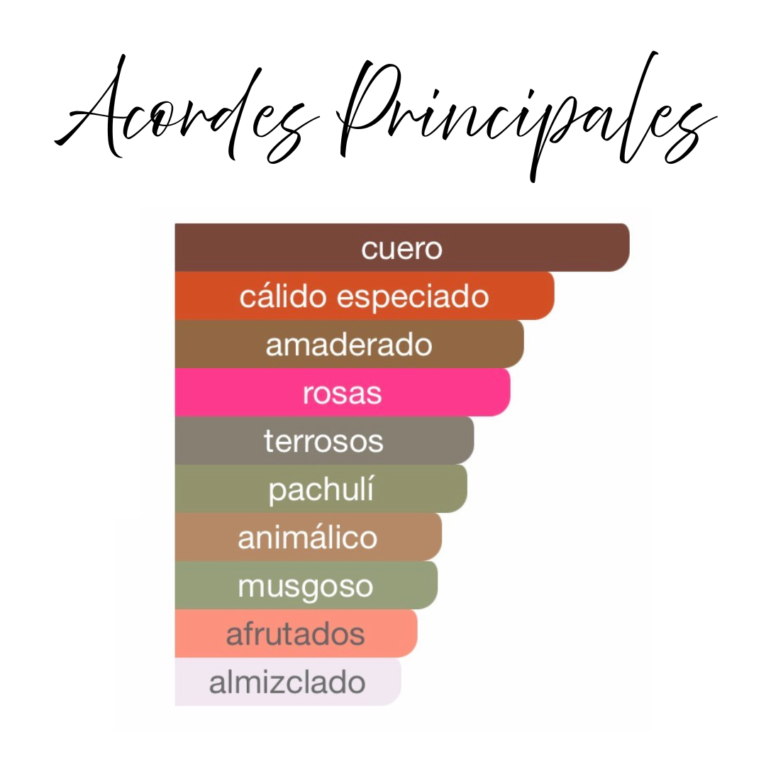 Vulcan Black Friday French Avenue 100ml - Extrait de Parfum Unisex