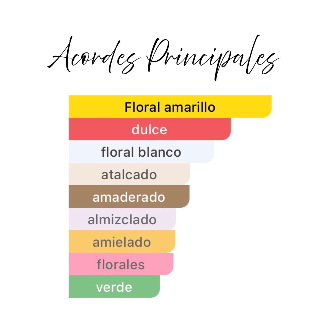 Fragancia Árabe Jasmere 100ml – Eau de Parfum | Floral Blanca y Amaderada