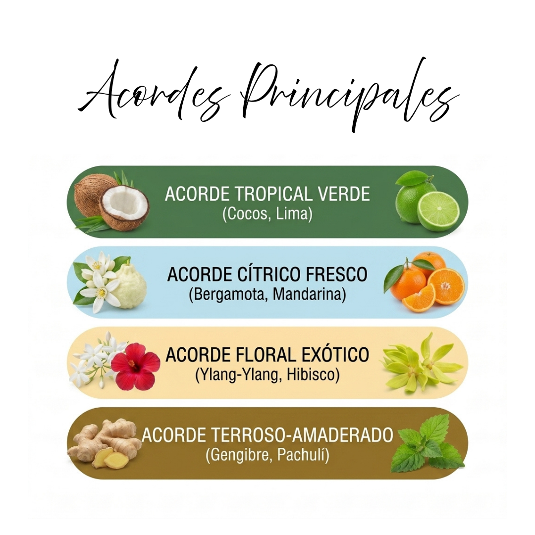 Fragancia Árabe Kokomo Paradise 100ml – Eau de Parfum | Coco Tropical y Lima