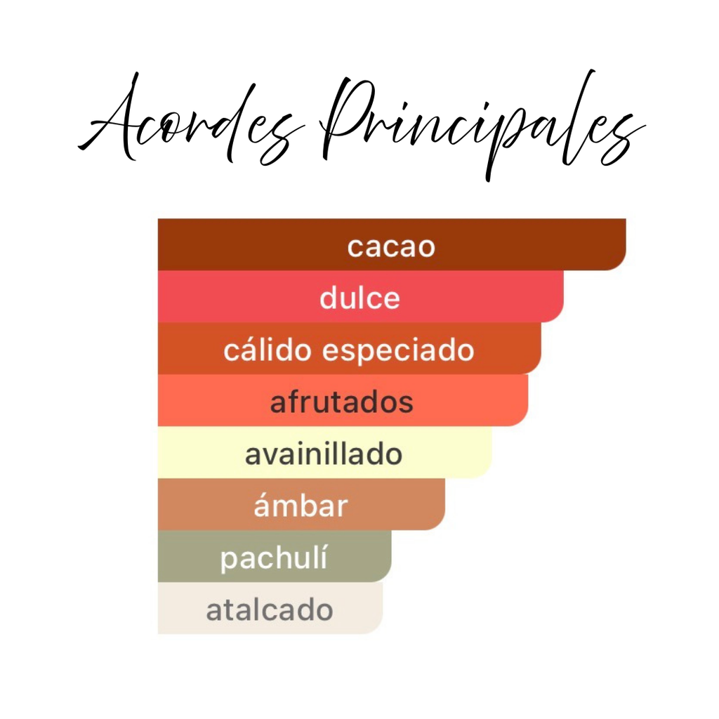 Acordes principales Mayar Cherry Intense: cacao, dulce, cálido especiado, afrutado, avainillado, ámbar, pachulí y atalcado