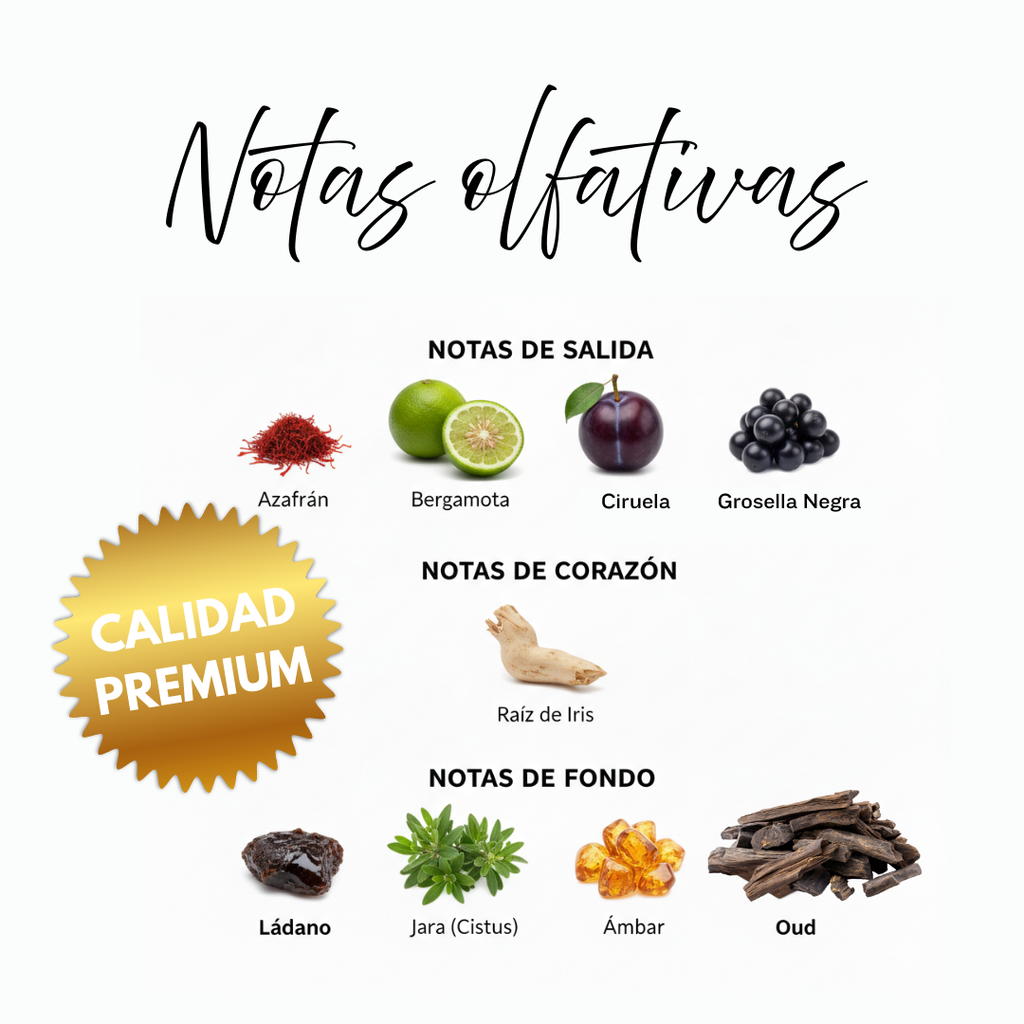 Notas olfativas de Plumpy Bite: azafrán refinado, bergamota, ciruela jugosa, grosella negra, raíz de iris, lábdano, oud noble y pachulí

