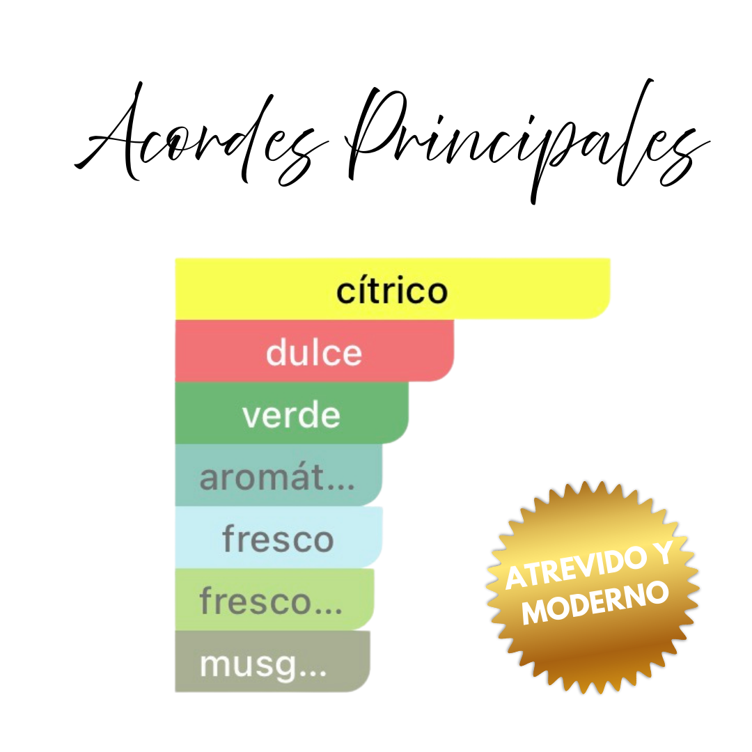 Gráfico de acordes principales de Smoked Cinnamon destacando su perfil cálido, especiado, dulce y amaderado.