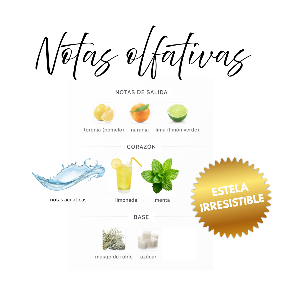 Infografía de Notas olfativas de Smoked Cinnamon: pomelo, naranja, lima, limonada efervescente, menta, musgo de roble, azúcar y ambroxan
