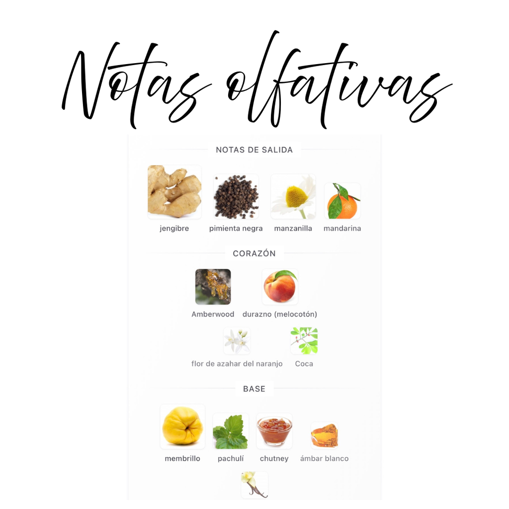Yes Tonight Hekayat Attar – Perfume oriental gourmand unisex, fondo de vainilla, pachulí indonesio y almizcle blanco, ideal para otoño e invierno

