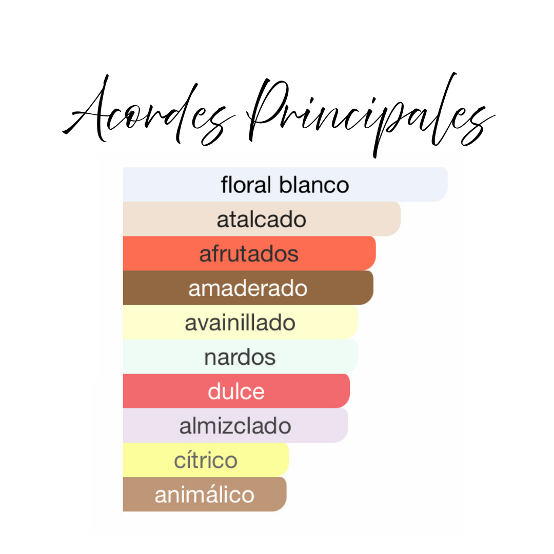 AZM Paris Corner Eau de Parfum 80ml Unisex Fragancia Frutal Floral Árabe Perfume Lujo Dubai Sensaciones Olfativas Notas Melocotón Pera Mandarina Ron Tuberosa Jazmín Almizcle Vainilla Sándalo Vetiver Comprar Online Perfumes Árabes Unisex 2025