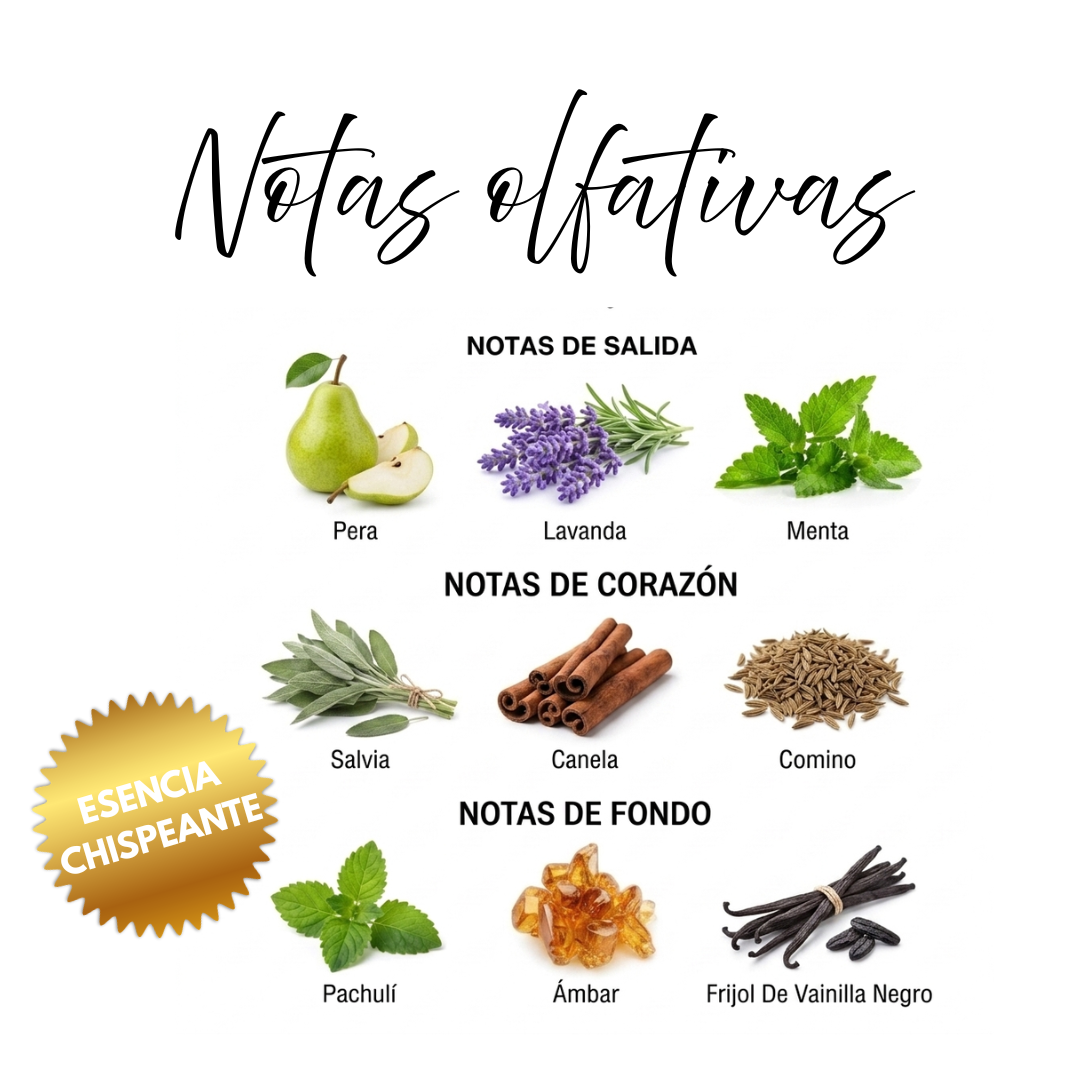 Fragancia Árabe Nardine 100ml – Eau de Parfum | Especiada y Herbal Elegante