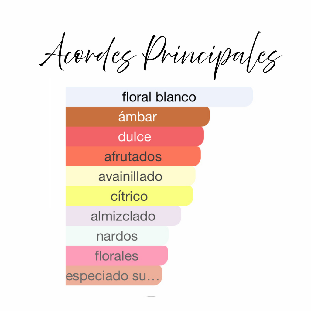 Washwashah de Lattafa Ambientador en Spray 300ml - Fragancia Ámbar Floral, Inspirada en Roberto Cavalli Eau de Parfum