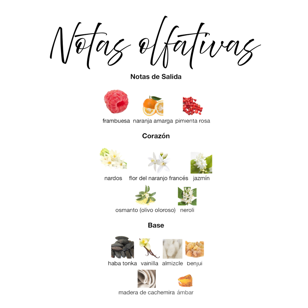 Washwashah de Lattafa Ambientador en Spray 300ml - Fragancia Ámbar Floral, Inspirada en Roberto Cavalli Eau de Parfum