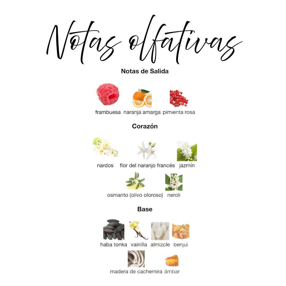 Washwashah de Lattafa Ambientador en Spray 300ml - Fragancia Ámbar Floral, Inspirada en Roberto Cavalli Eau de Parfum