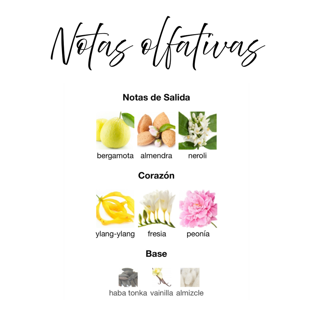 Abeer de Nusuk Ambientador en Spray 300ml - Fragancia Oriental Amaderada con ADN Único.