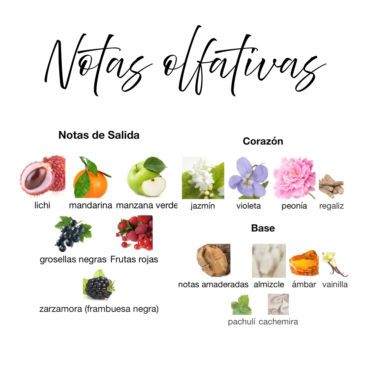 Romance Reverie de Paris Corner