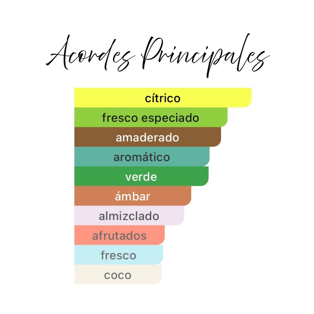 Fragancia Árabe Chill Spectrum 100ml – Eau de Parfum | Cítrica Fresca y Amaderada