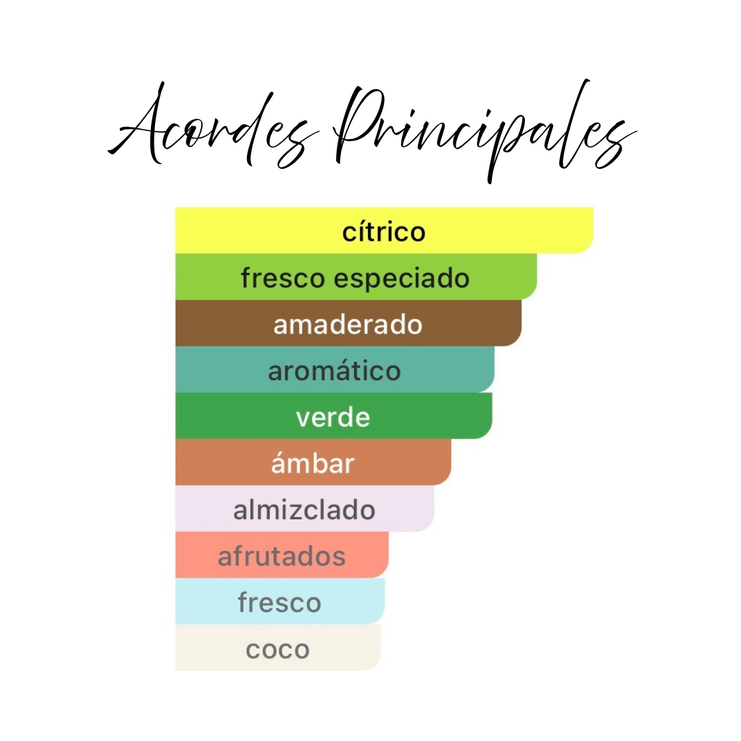 Fragancia Árabe Chill Spectrum 100ml – Eau de Parfum | Cítrica Fresca y Amaderada