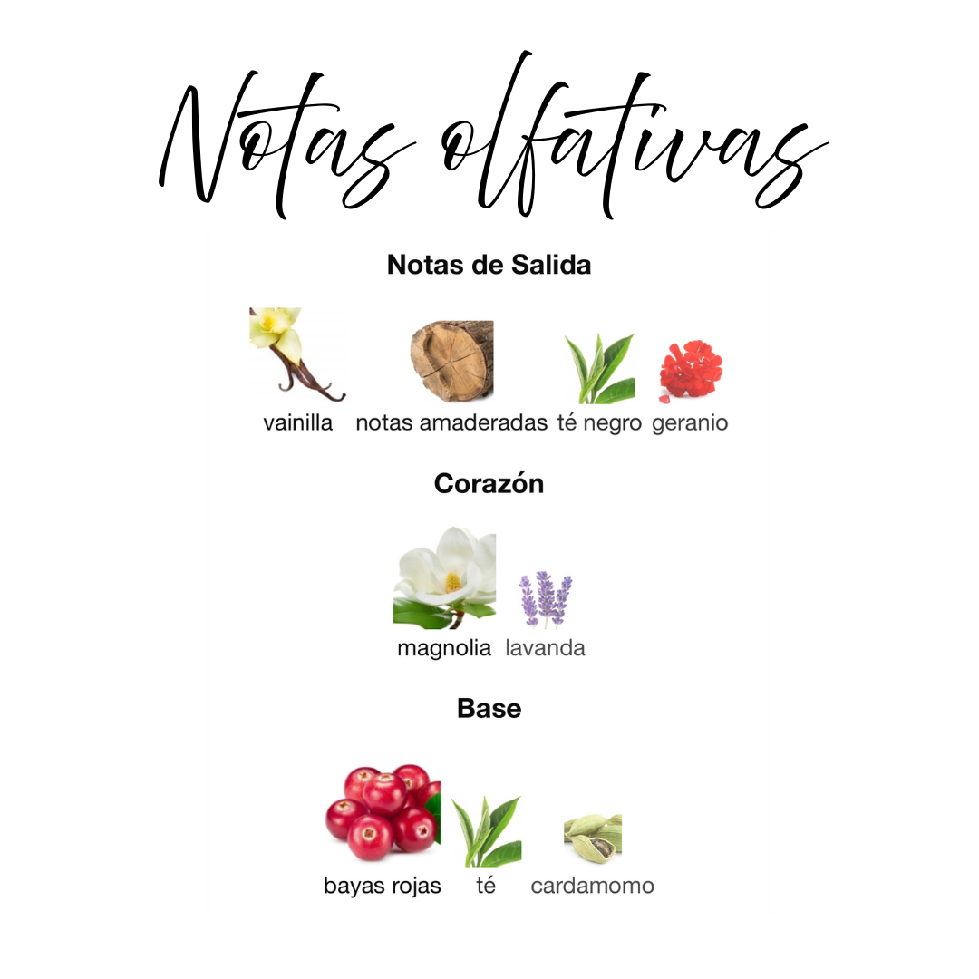 Notas olfativas de Thuraya: vainilla dulce, té negro ahumado, geranio, magnolia, lavanda, bayas rojas y cardamomo especiado
