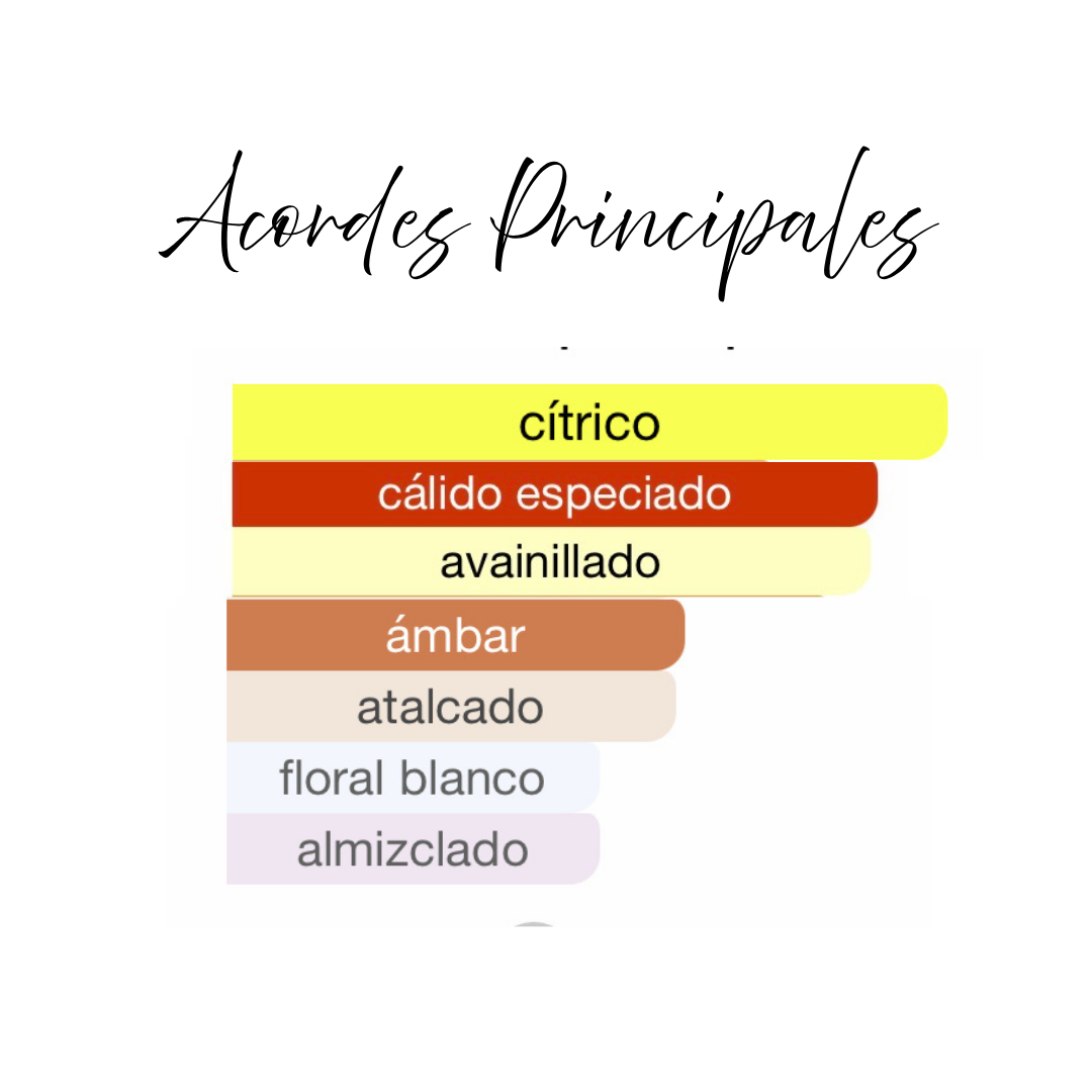 PREVENTA Vannifolia Hekayat Attar Extrait 100ml Unisex Gourmand Oriental Perfume Especiado Limón Bergamota Almizcle Floral Empolvado Vainilla Ambrette Ámbar Tonka Benjuí