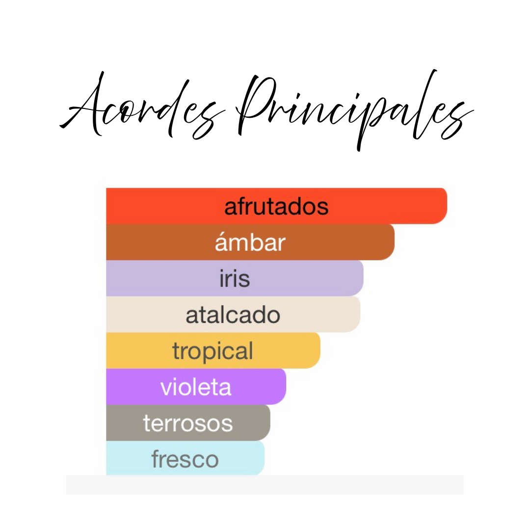 Scentasy Noir de Pêche Armaf 100ml - Eau de Parfum Unisex