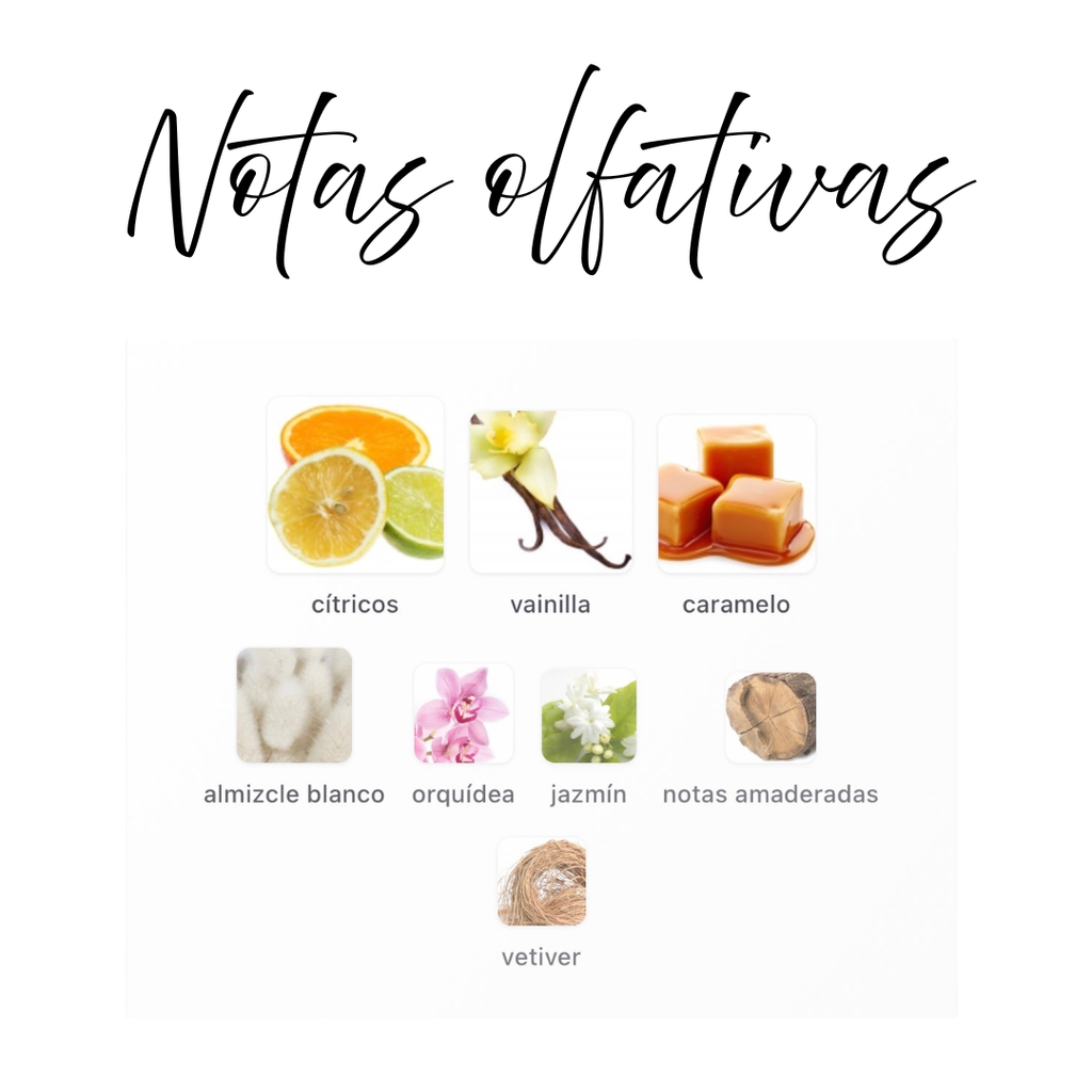 Notas olfativas Soft Al Rehab — cítricos, vainilla, caramelo, almizcle blanco, orquídea, jazmín, notas amaderadas, vetiver
