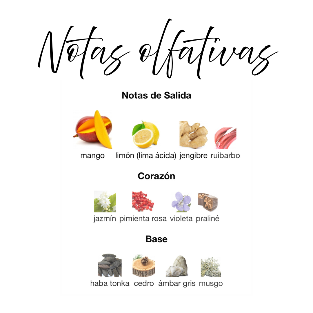 "Vulcan Feu French Avenue EDP - Aroma intenso amaderado con especias cálidas y notas orientales"