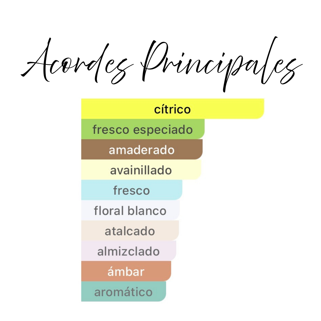 Fragancia Árabe Taif 100ml – Eau de Parfum | Cítrica Floral y Cremosa